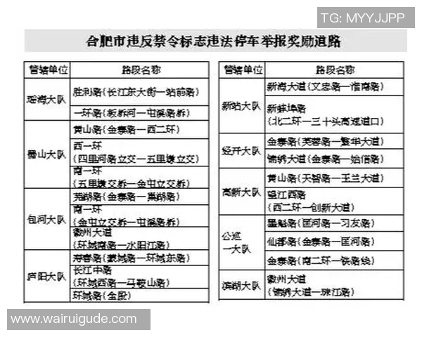 网球比赛规则详解及常见违规行为分析与应对策略